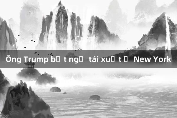 Ông Trump bất ngờ tái xuất ở New York