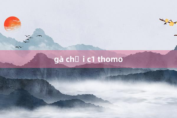 gà chọi c1 thomo