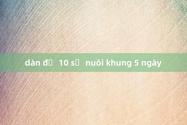 dàn đề 10 số nuôi khung 5 ngày