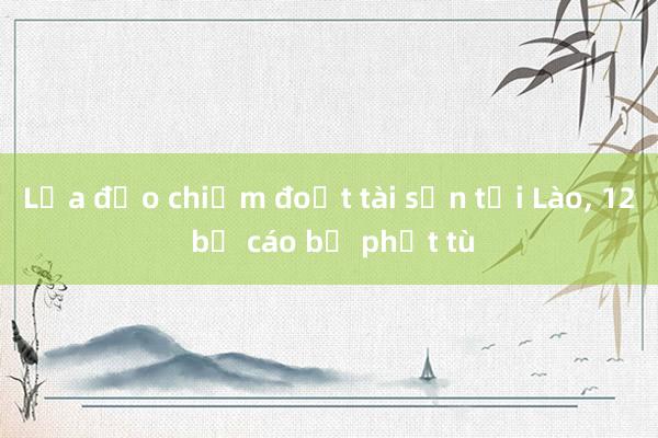 Lừa đảo chiếm đoạt tài sản tại Lào， 12 bị cáo bị phạt tù