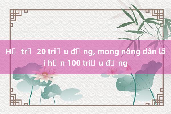 Hỗ trợ 20 triệu đồng， mong nông dân lãi hơn 100 triệu đồng