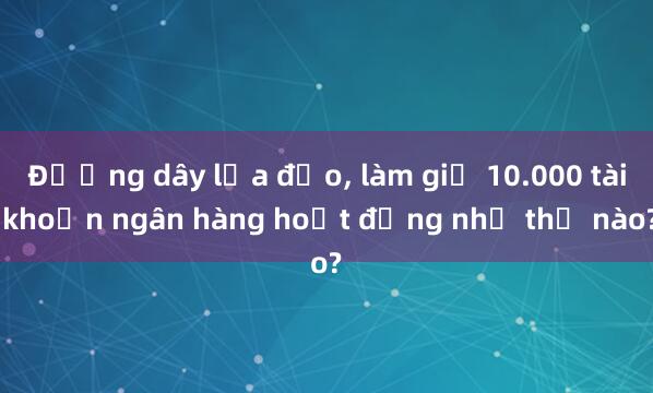 Đường dây lừa đảo， làm giả 10.000 tài khoản ngân hàng hoạt động như thế nào?