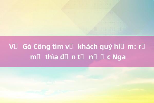 Về Gò Công tìm vị khách quý hiếm: rẽ mỏ thìa đến từ nước Nga