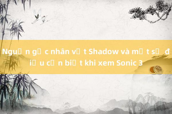 Nguồn gốc nhân vật Shadow và một số điều cần biết khi xem Sonic 3