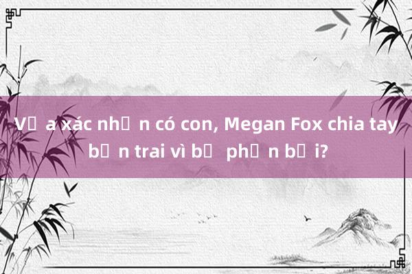 Vừa xác nhận có con， Megan Fox chia tay bạn trai vì bị phản bội?